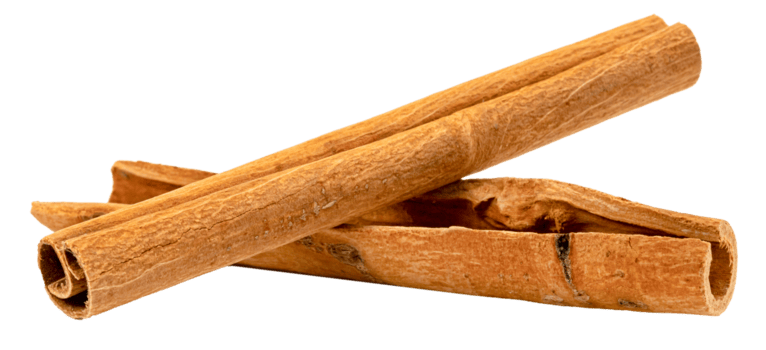 Canela